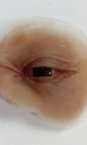 WhatsApp Image 2025-03-03 at 10.49.29 PM